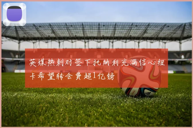 英媒热刺对签下托纳利充满信心纽卡希望转会费超1亿镑